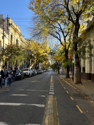 Alejandra Milici Propiedades